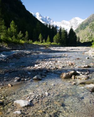 LLB – OLM – Opportunità – 300×373